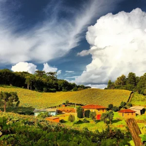 Paisagem, Rural, Bra