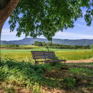 campo, paisagem